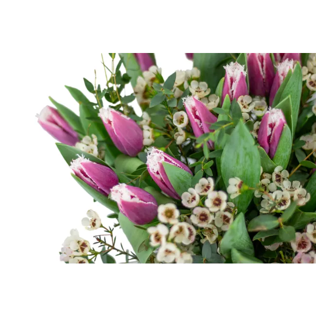 Kytice prémiových tulipánů